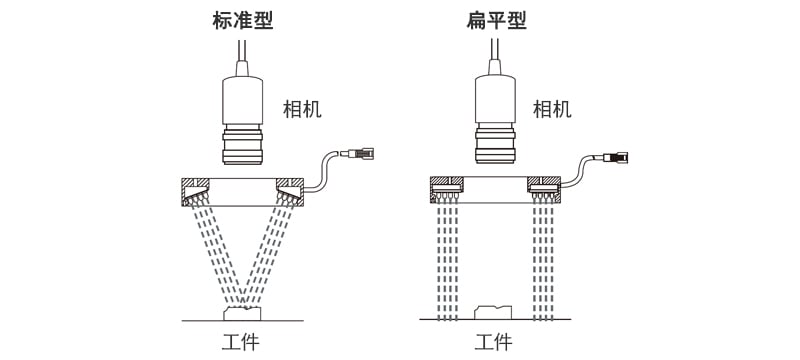 标准型 / 扁平型