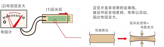 应变片