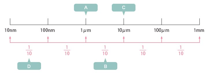 A：细菌　B：真菌　C：人体细胞　D：病毒